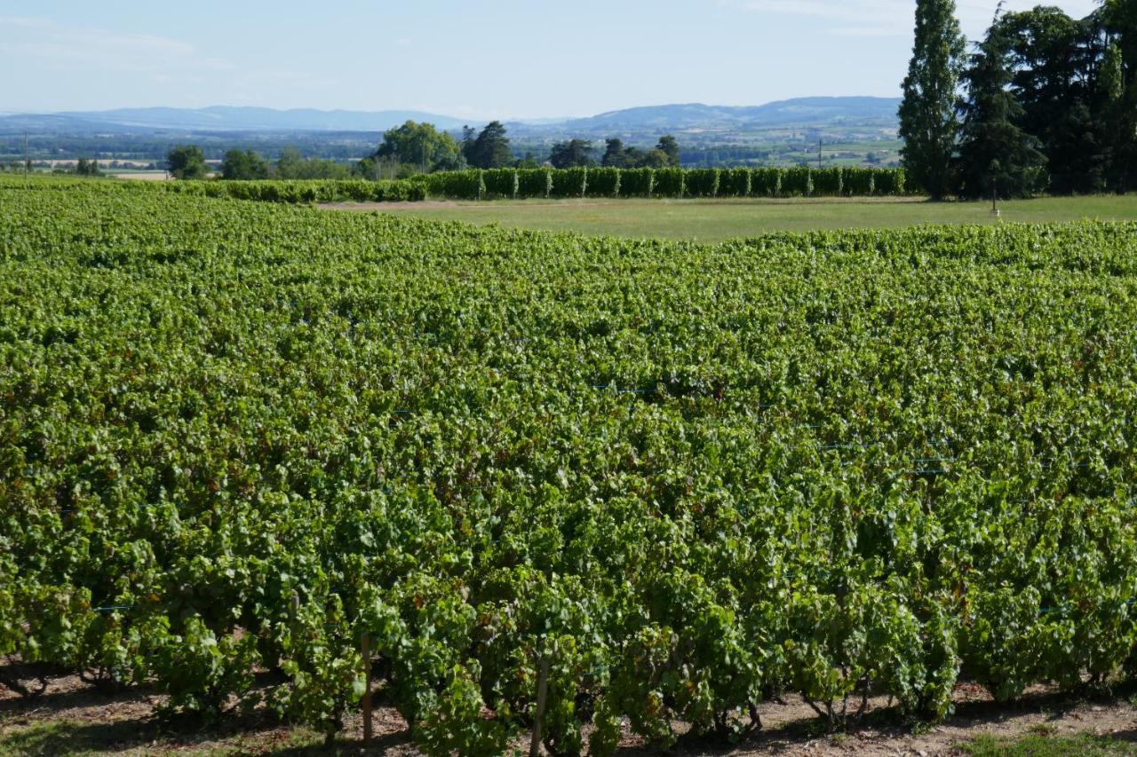 Le Bel Air De Saint Jean Acomodação com café da manhã Belleville-en-Beaujolais Exterior foto